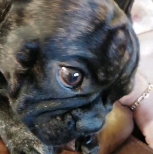 Meet your Posher, Brenda